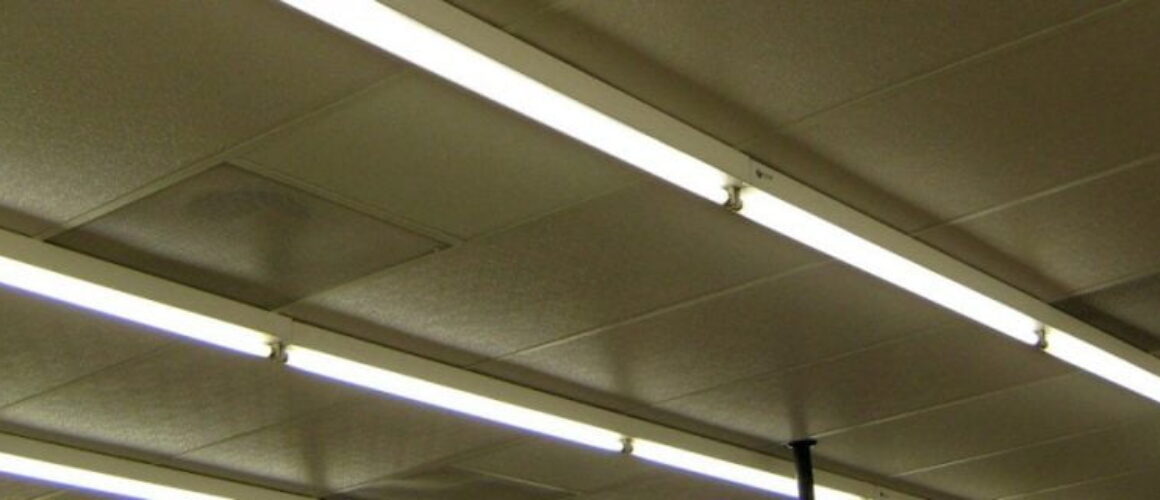 7 Eleven Monterrey Aislamientos y Más